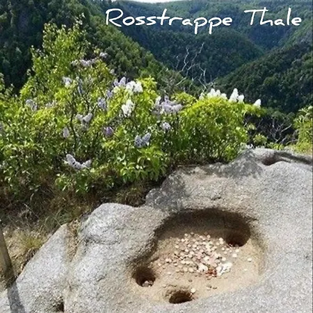 Koebbelshof דירה